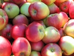 Apple - Sunrise - B.C